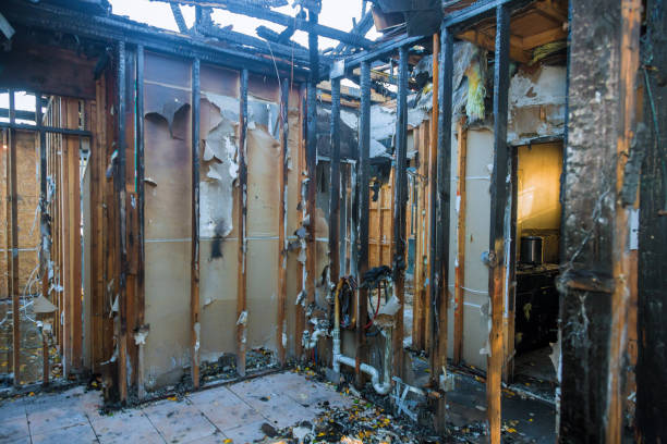 Professional Fire Damage Removal technician working in Wailua Homesteads, HI